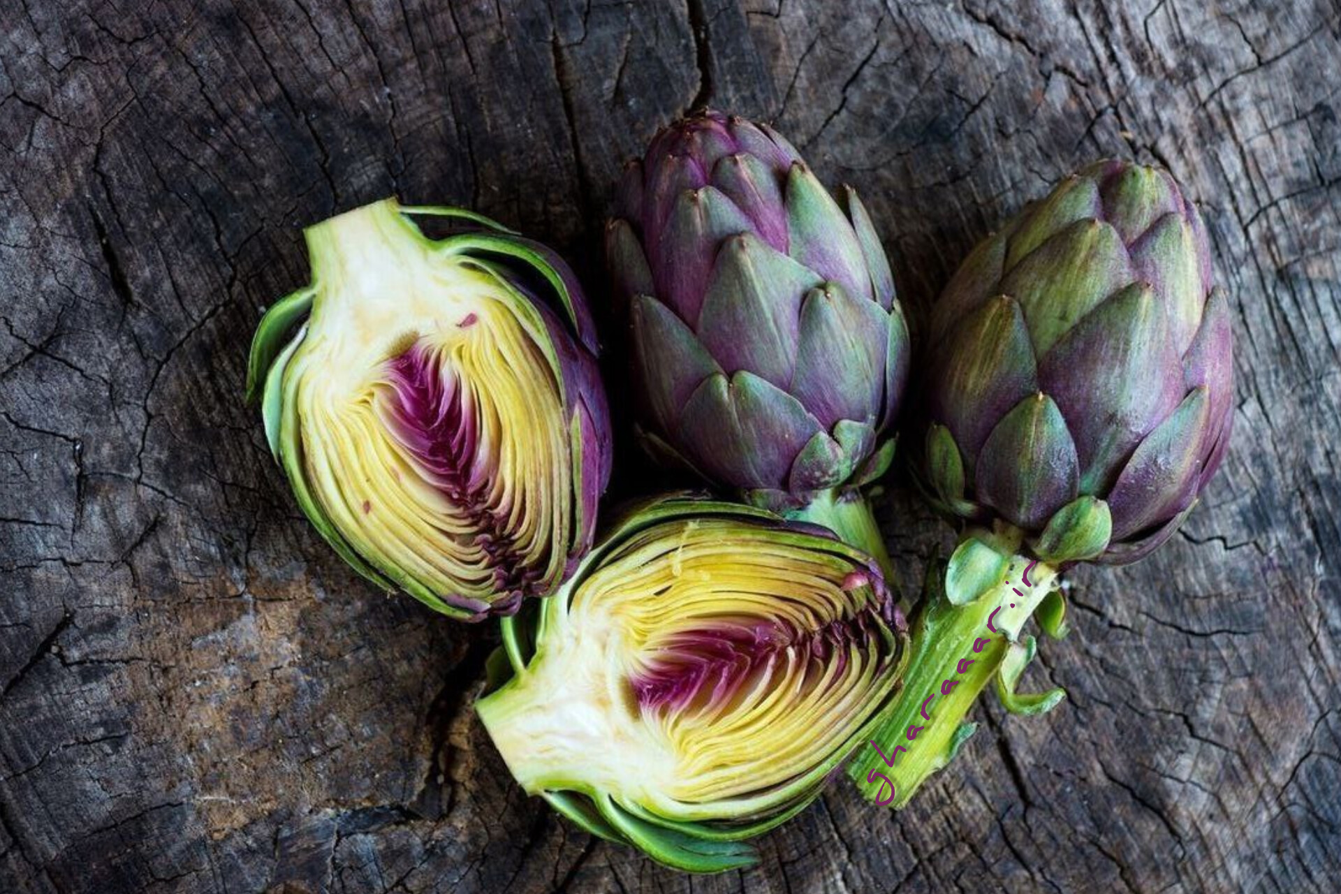 گیاه کنگر فرنگی یا آرتیشو