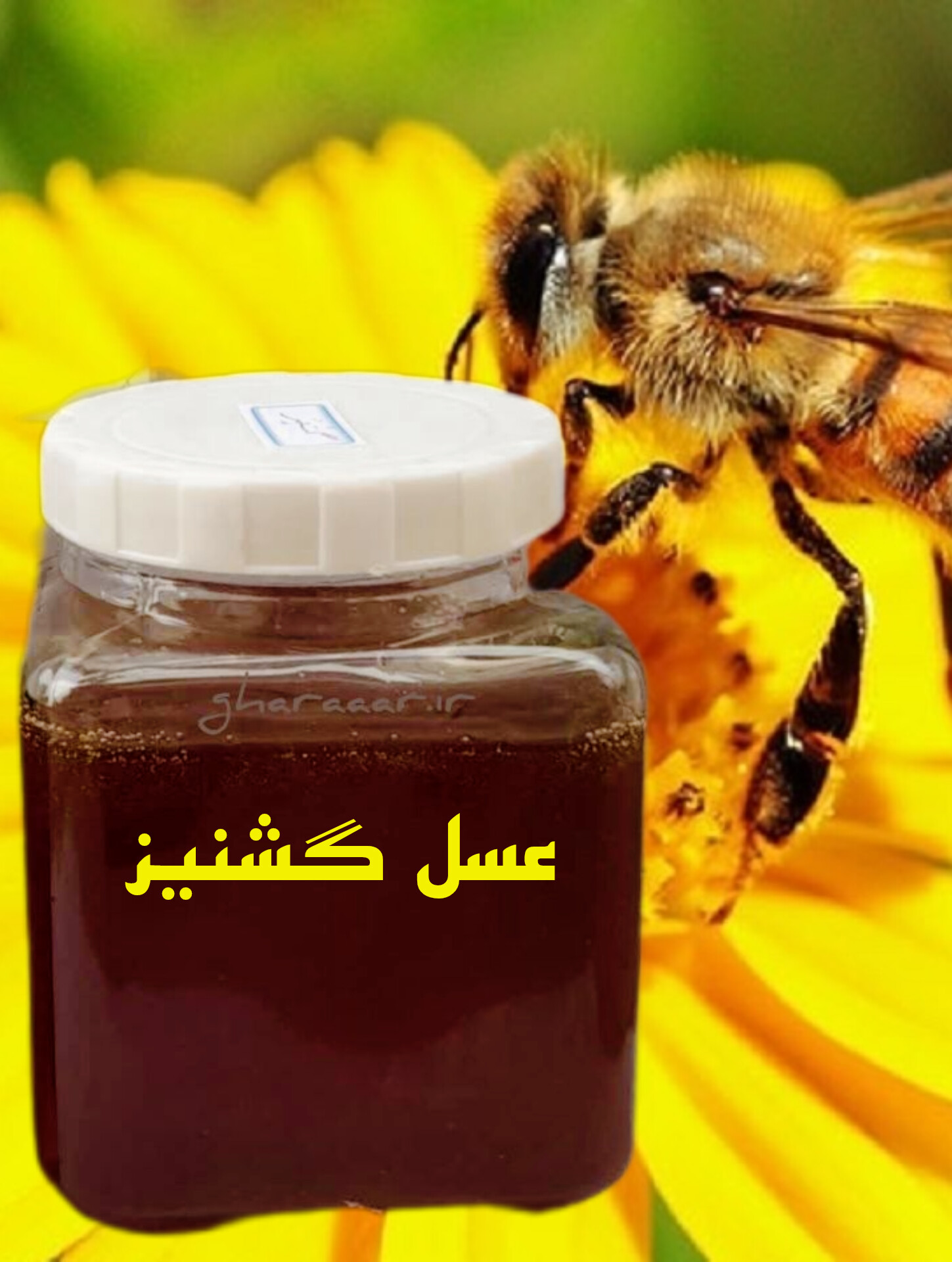عسل گشنیز شیشه‌ای بزرگ