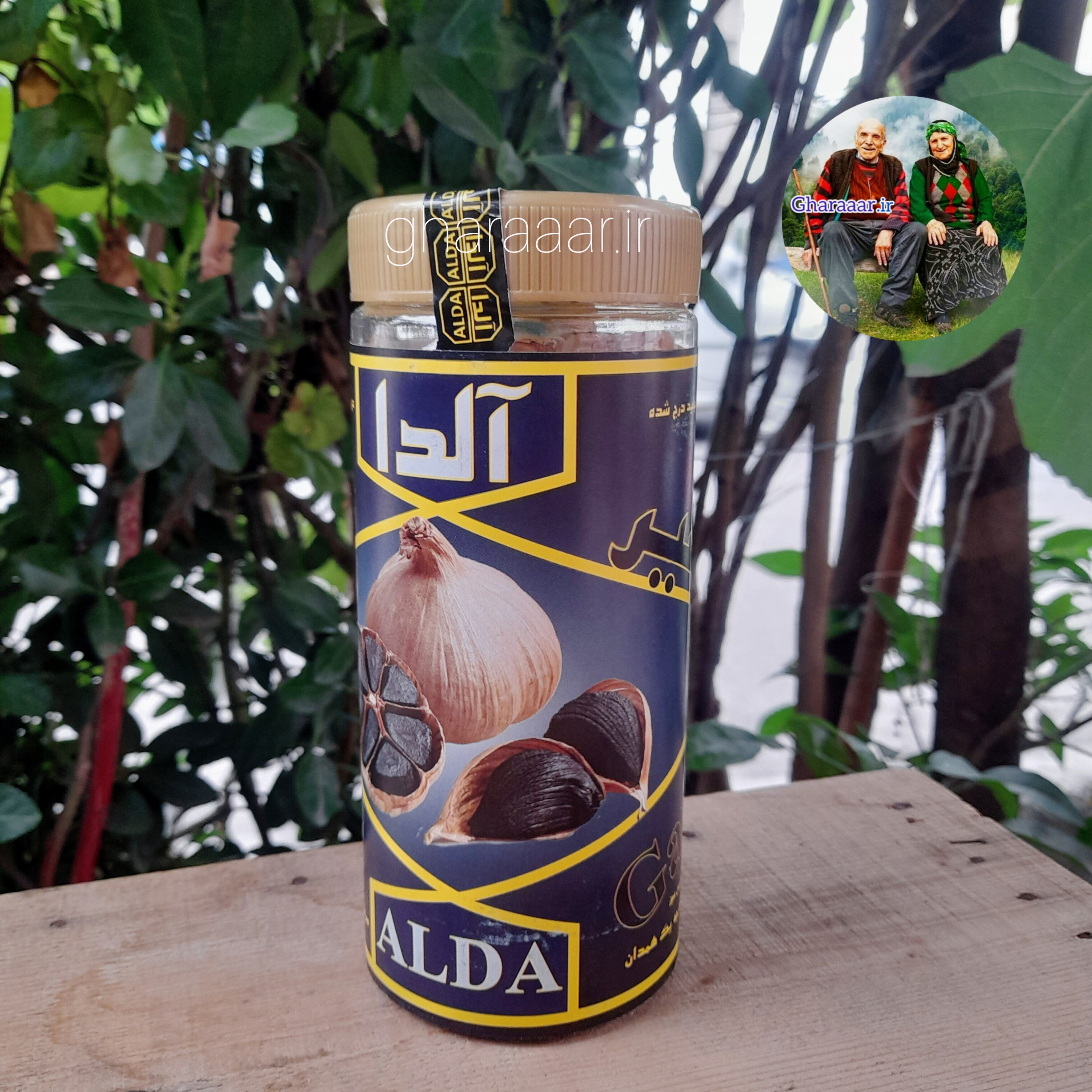 سیر سیاه