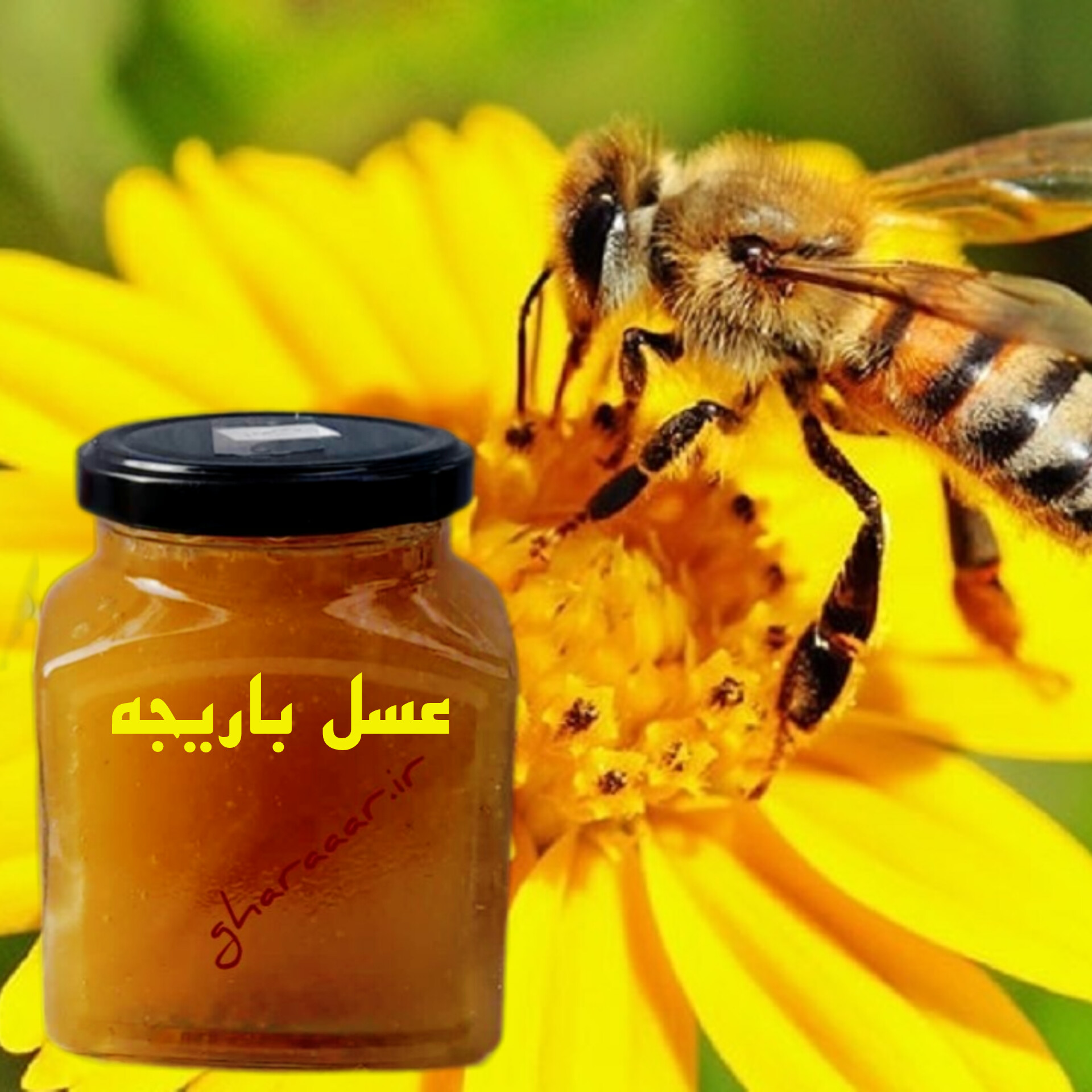 عسل باریجه شیشه‌ای ۴۵۰ گرم
