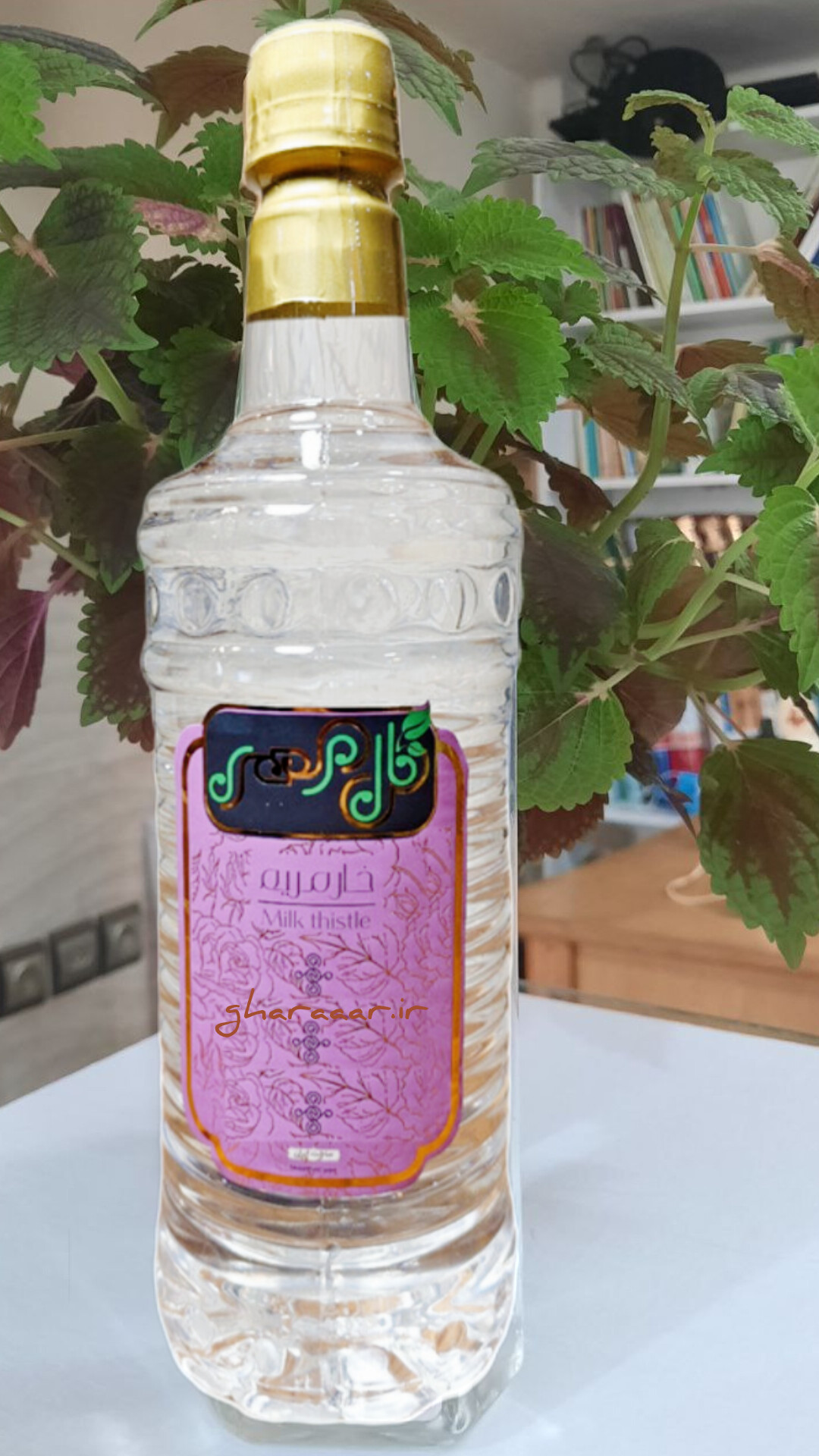 عرق خارمریم گلمهر