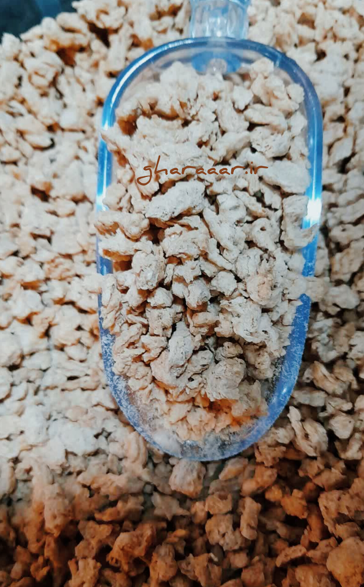 سویا خورشتی