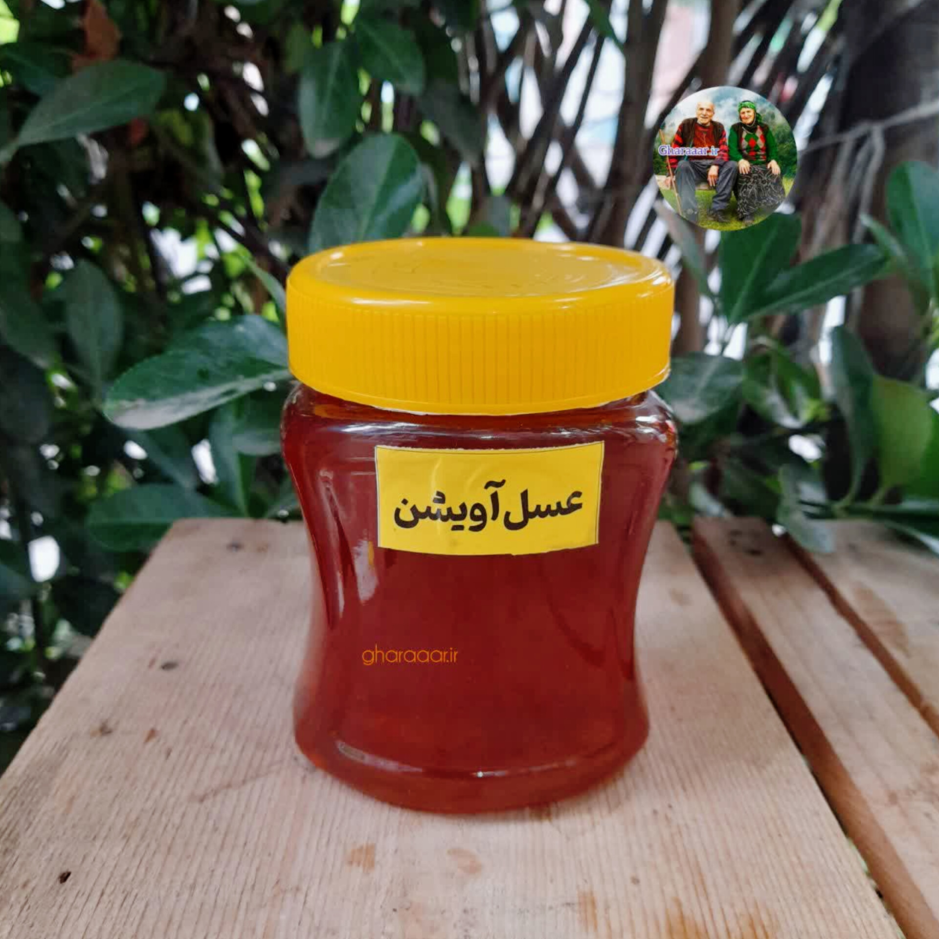 عسل آویشن نیم کیلویی پت
