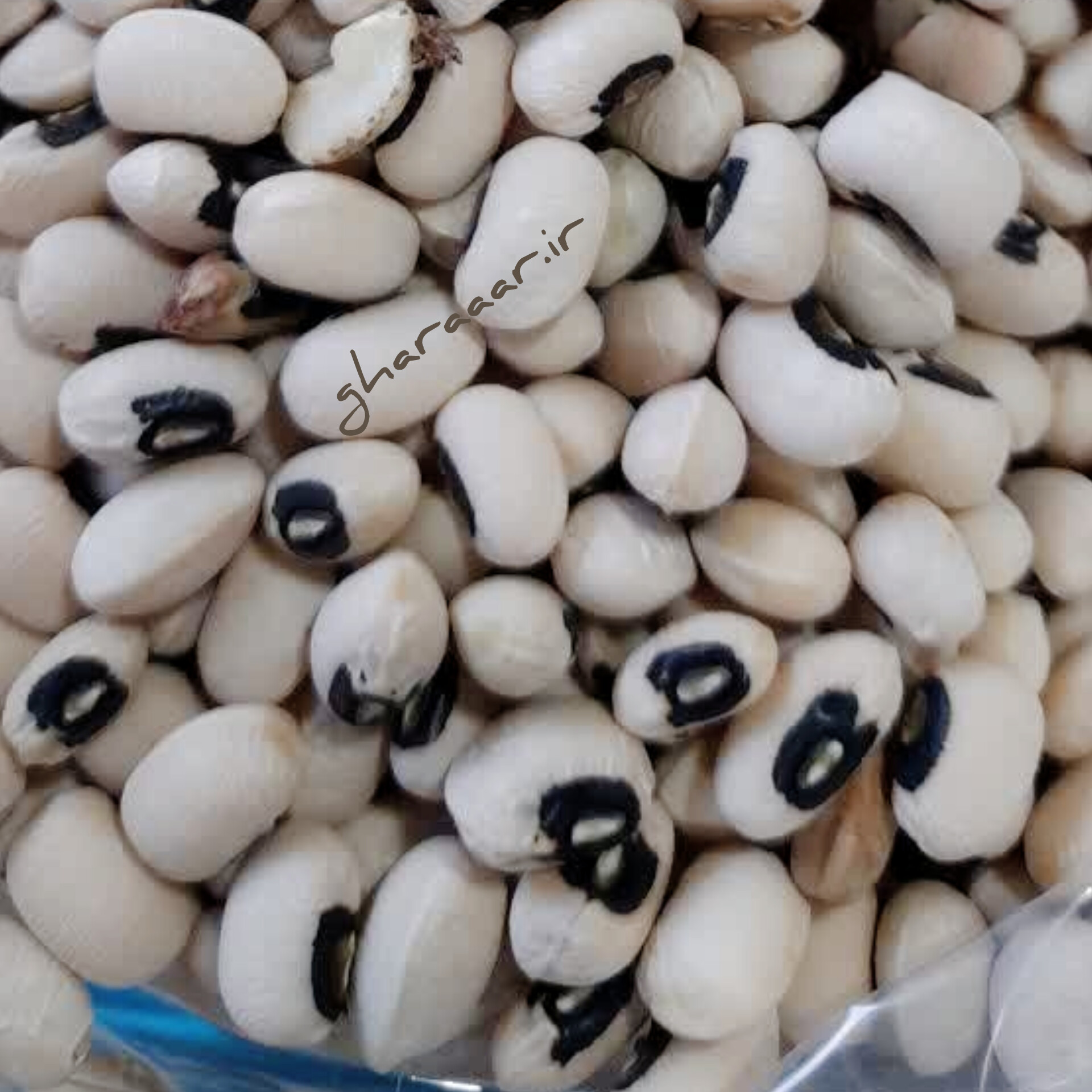 لوبیا چشم‌بلبلی