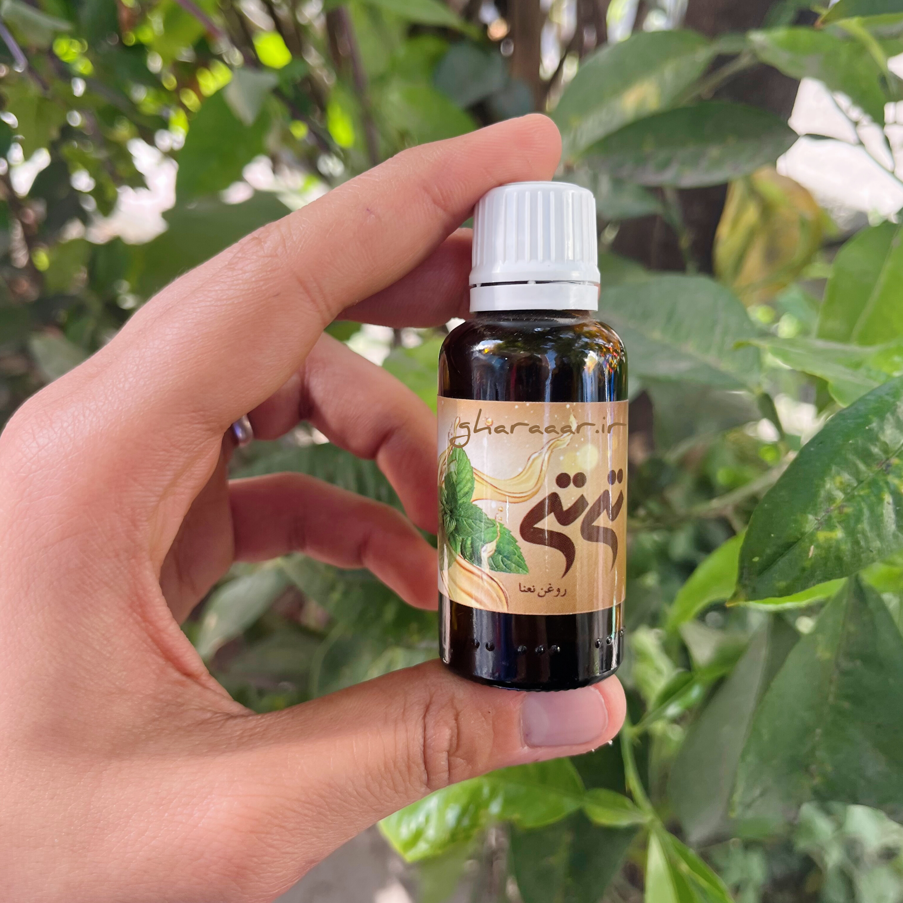 روغن نعنا مالشی ۳۰ میلی تی‌تی