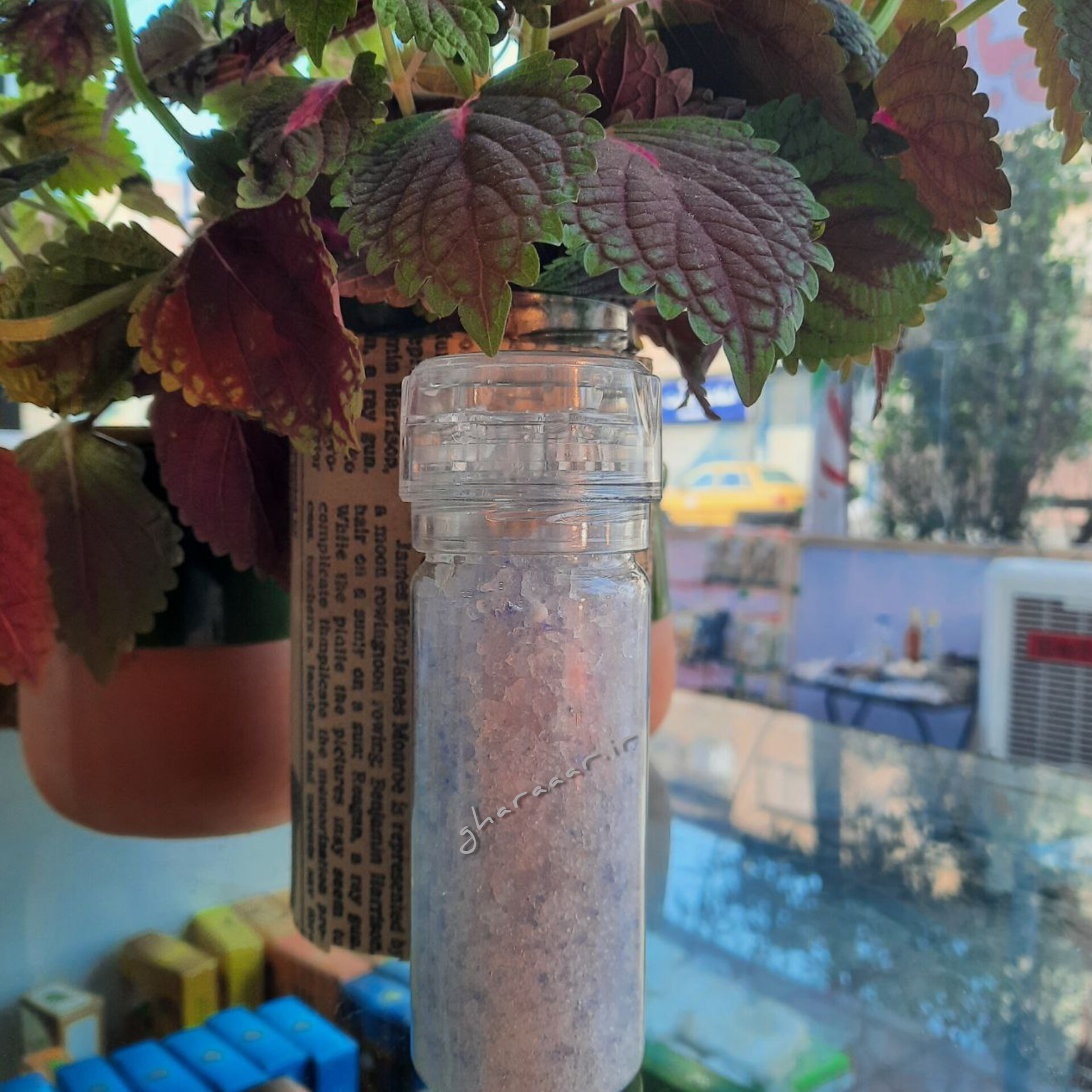 نمک آبی سمنان آسیابدار دونه‌ای