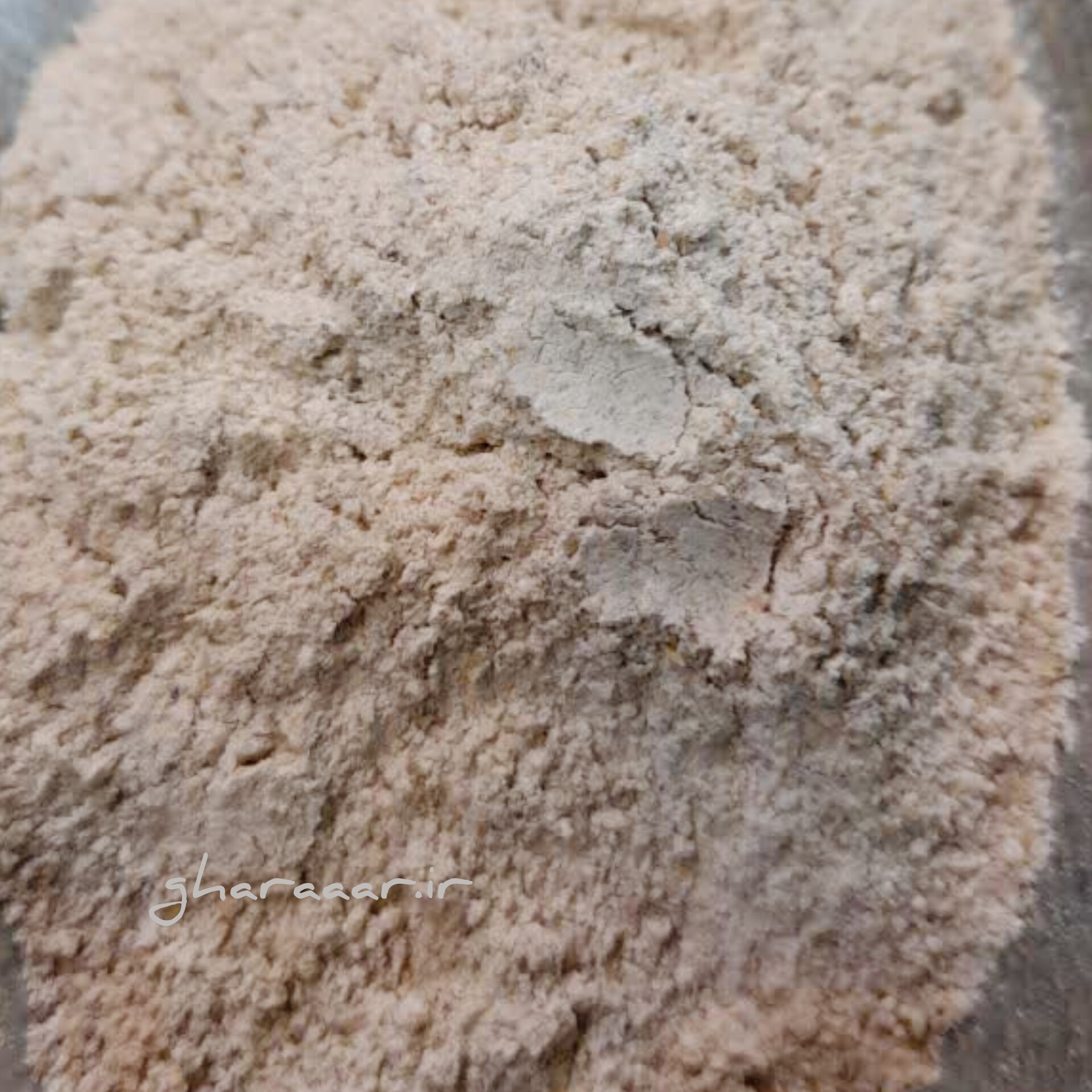 پودر جوانه گندم فله
