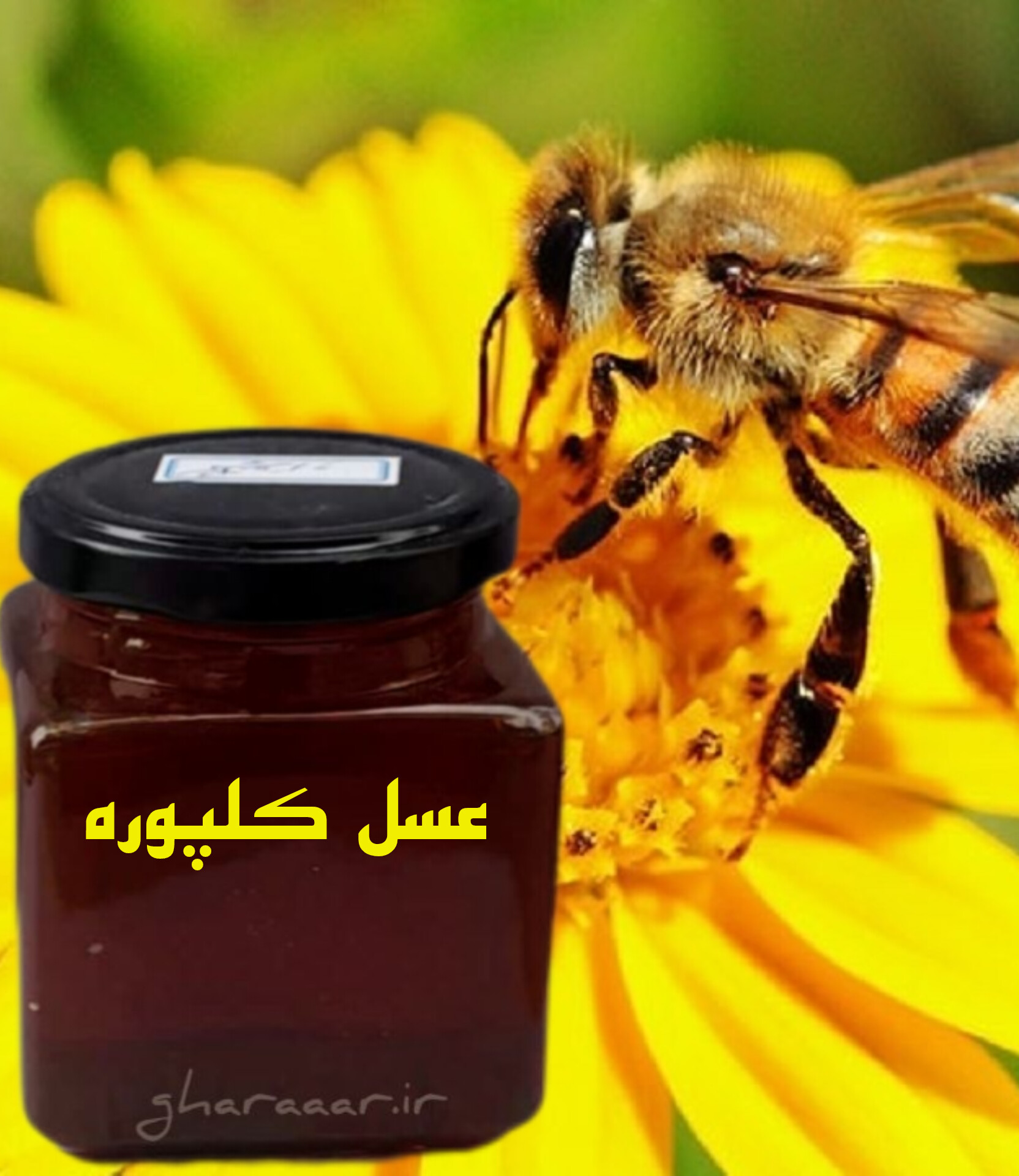 عسل کلپوره شیشه‌ای ۴۵۰ گرم