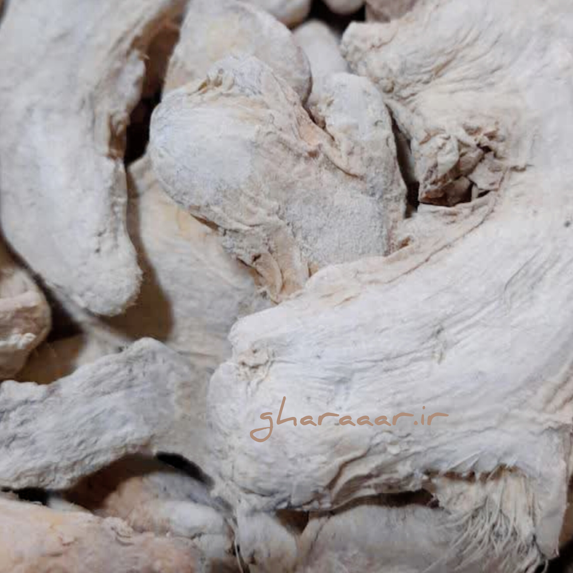 زنجبیل قلم ۱۰۰ گرم