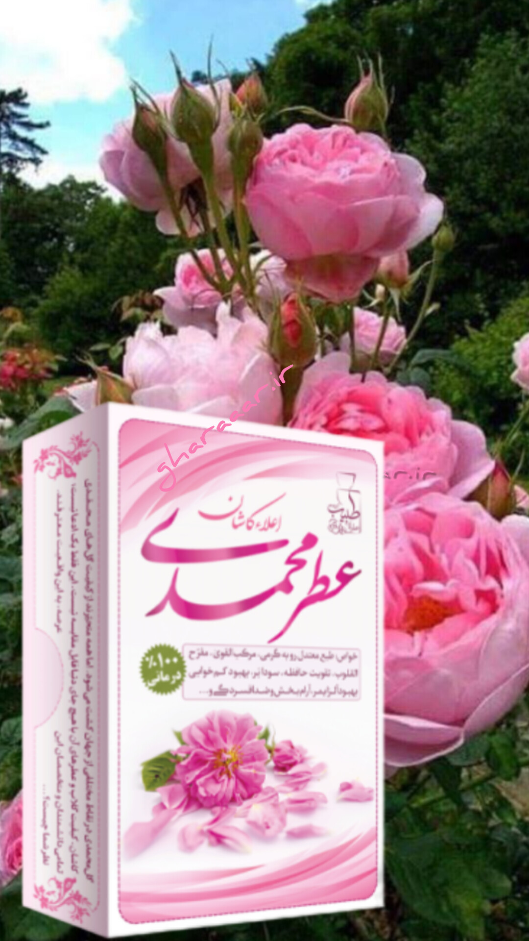 عطر گل محمدی مرهم طبیب