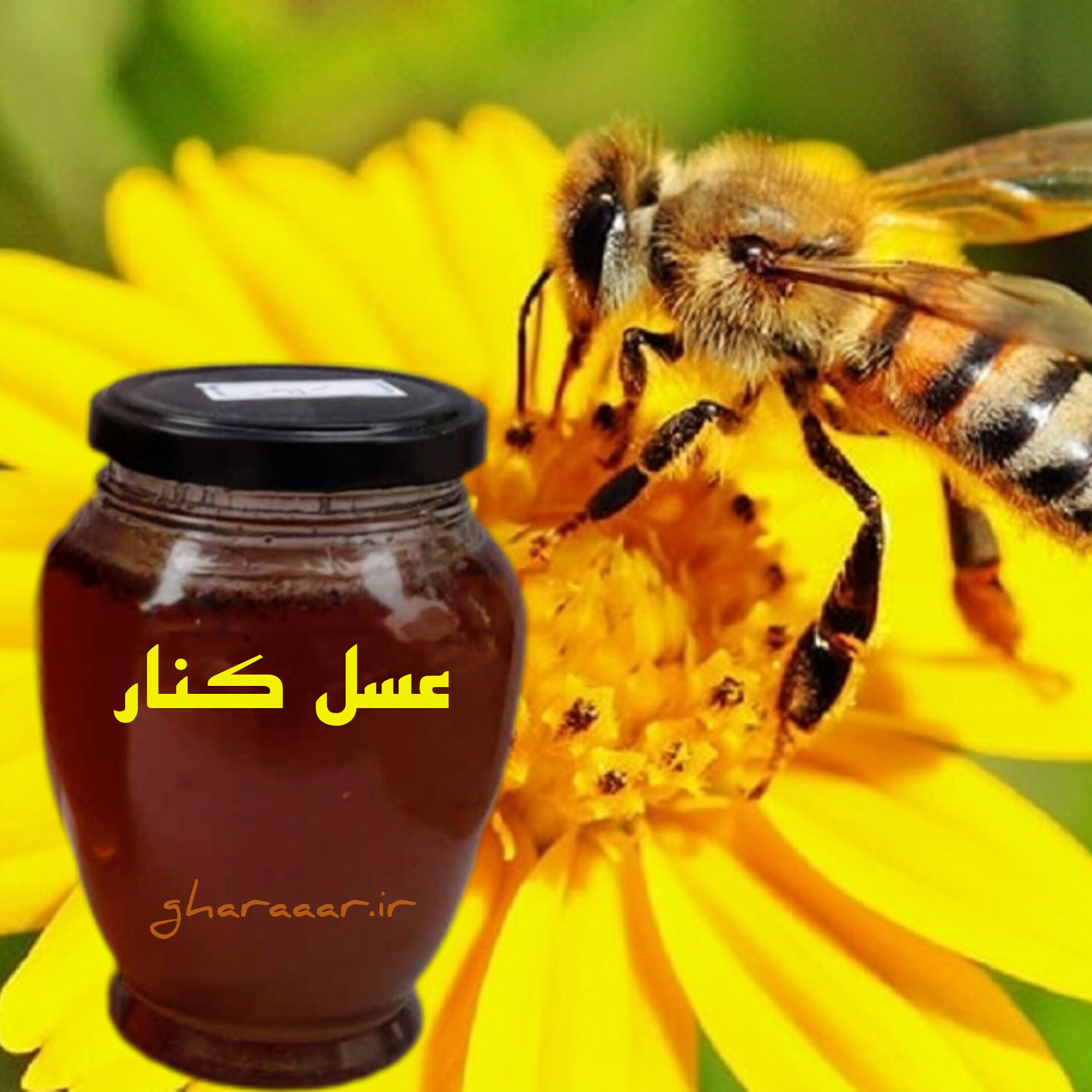عسل کنار شیشه‌ای ۴۵۰ گرم