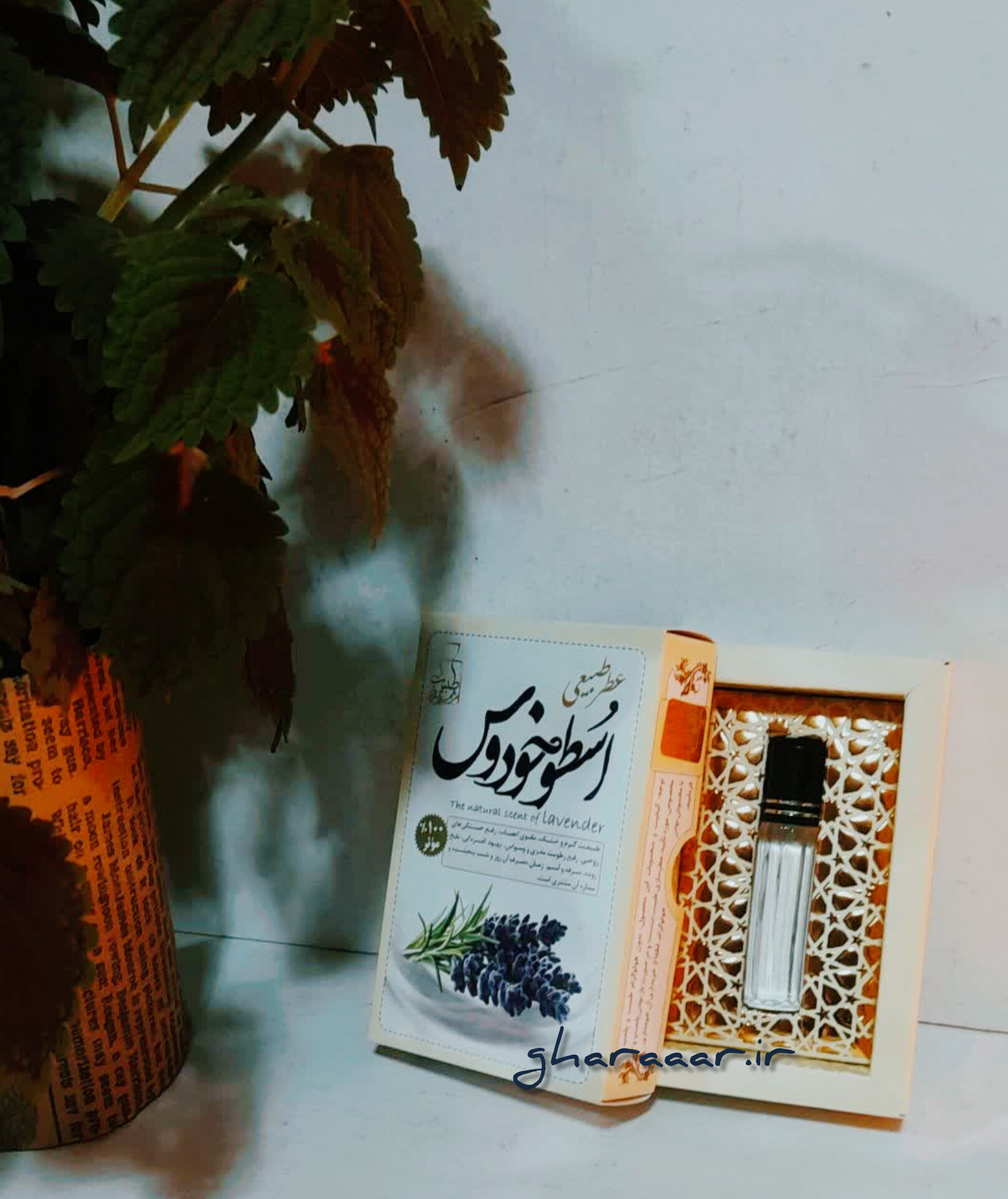 عطر طبیعی اسطوخودوس مرهم طبیب