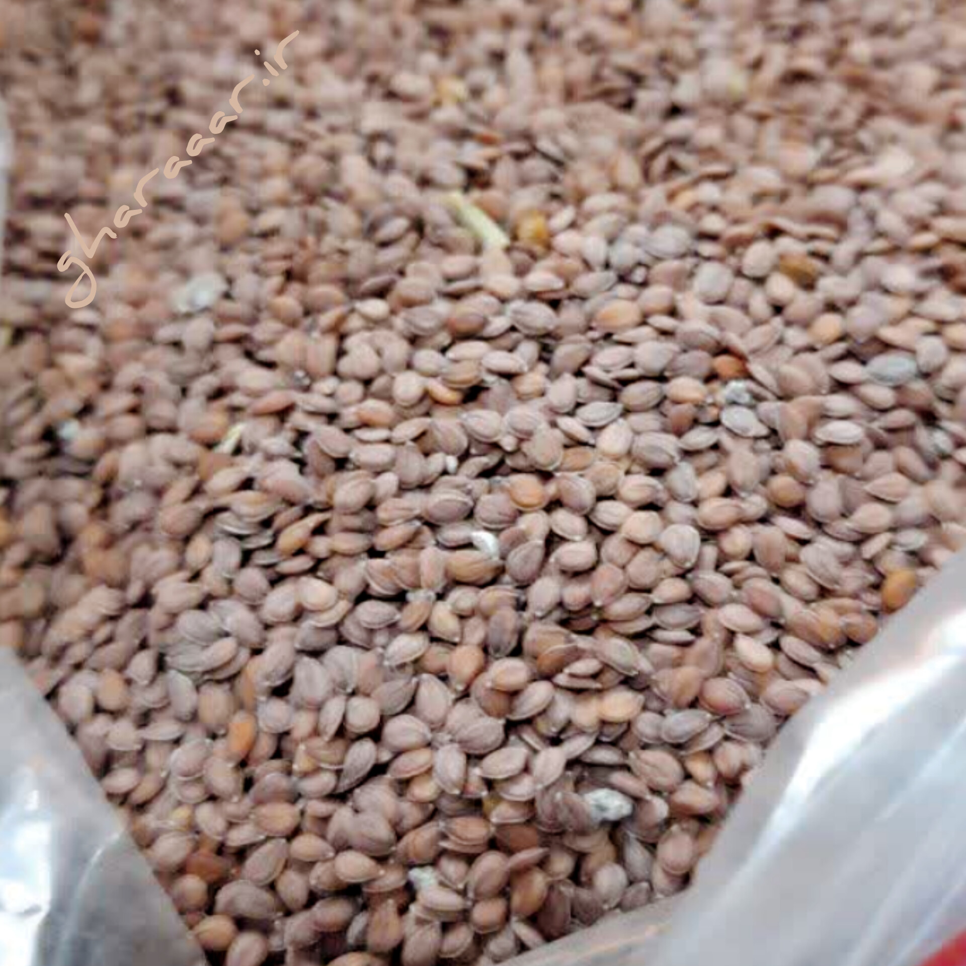 قدومه شیرازی ۱۰۰ گرم
