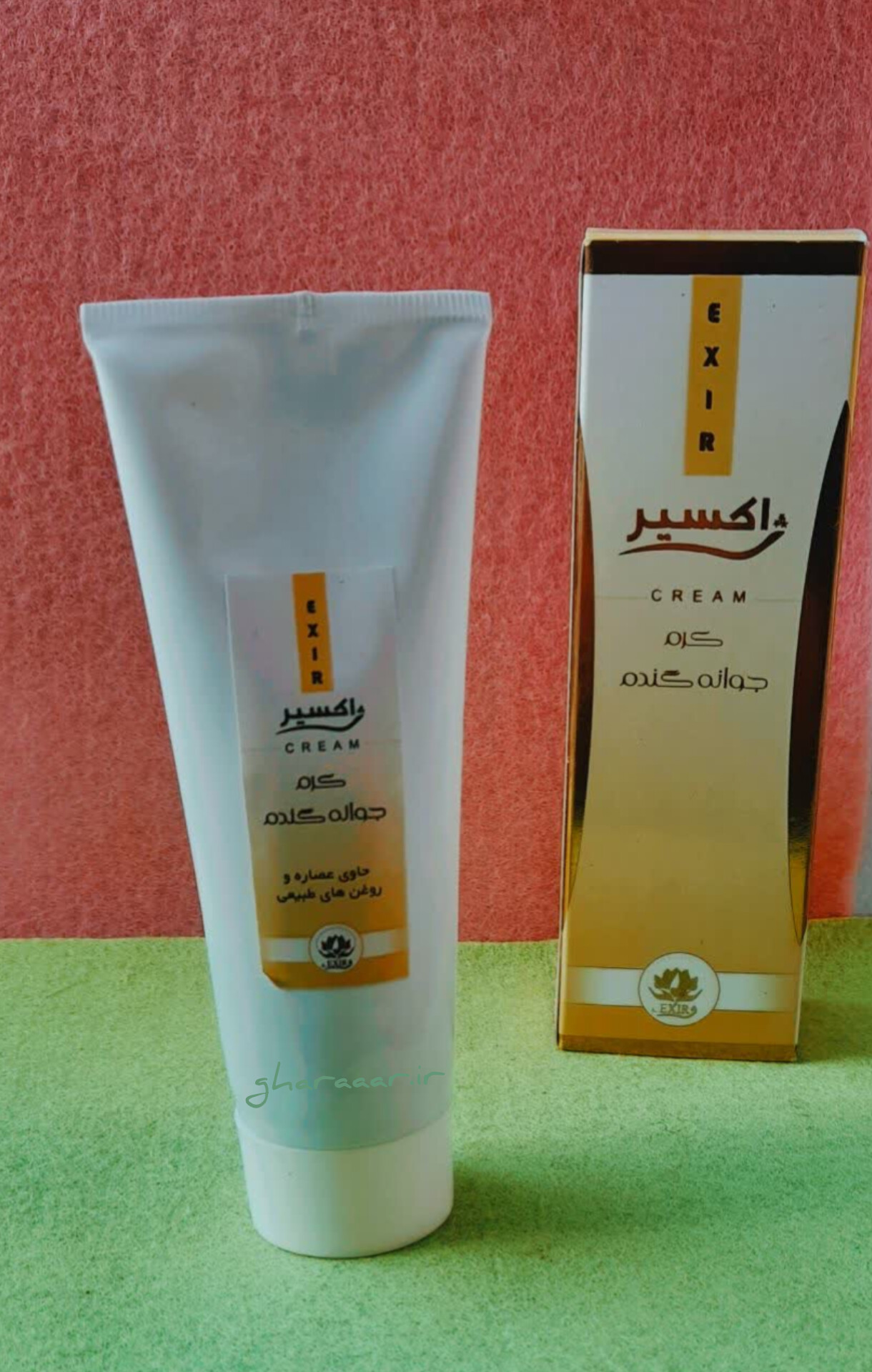 کرم جوانه گندم تیوپی