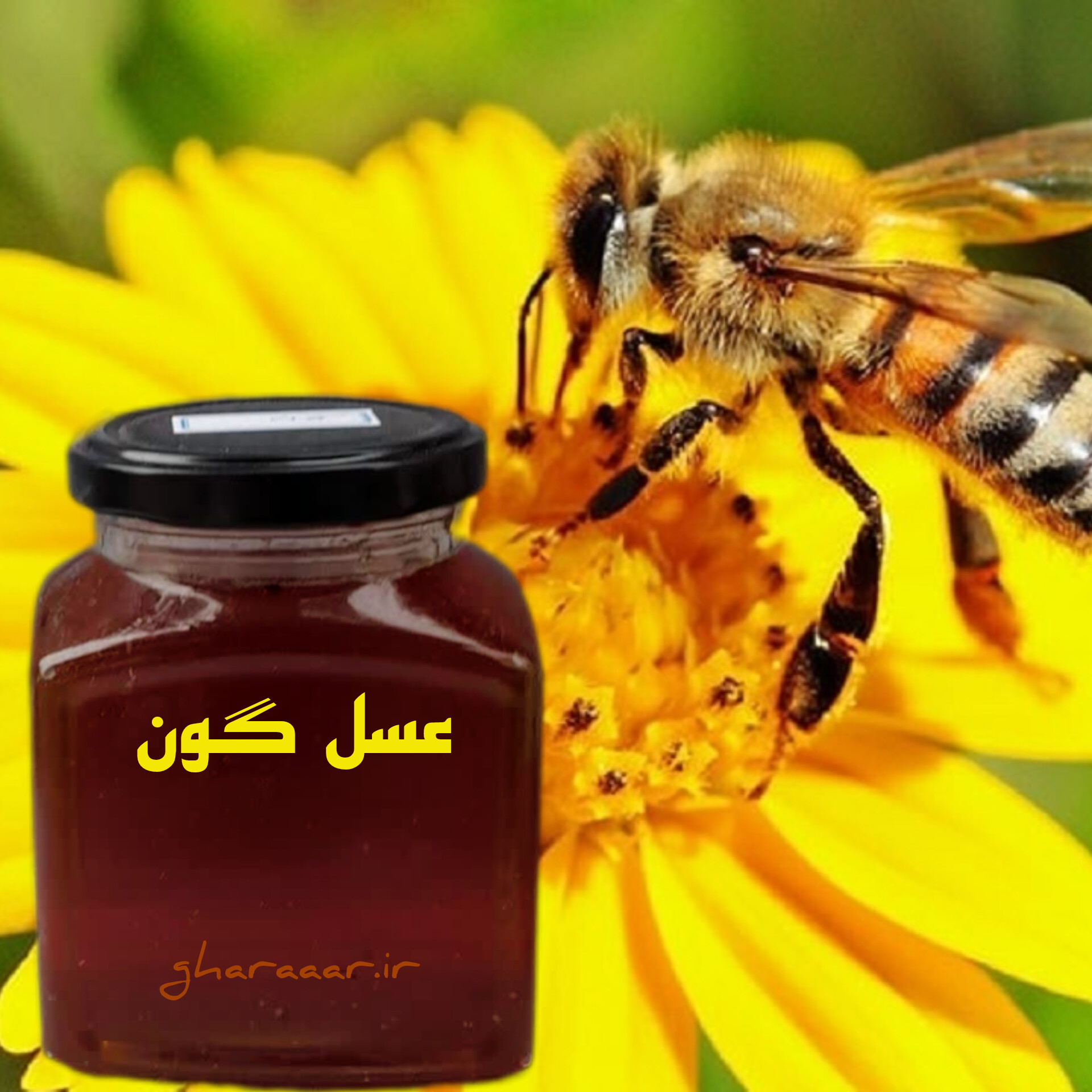 عسل گون فیروزکوه ۴۵۰ گرمی شیشه‌ای