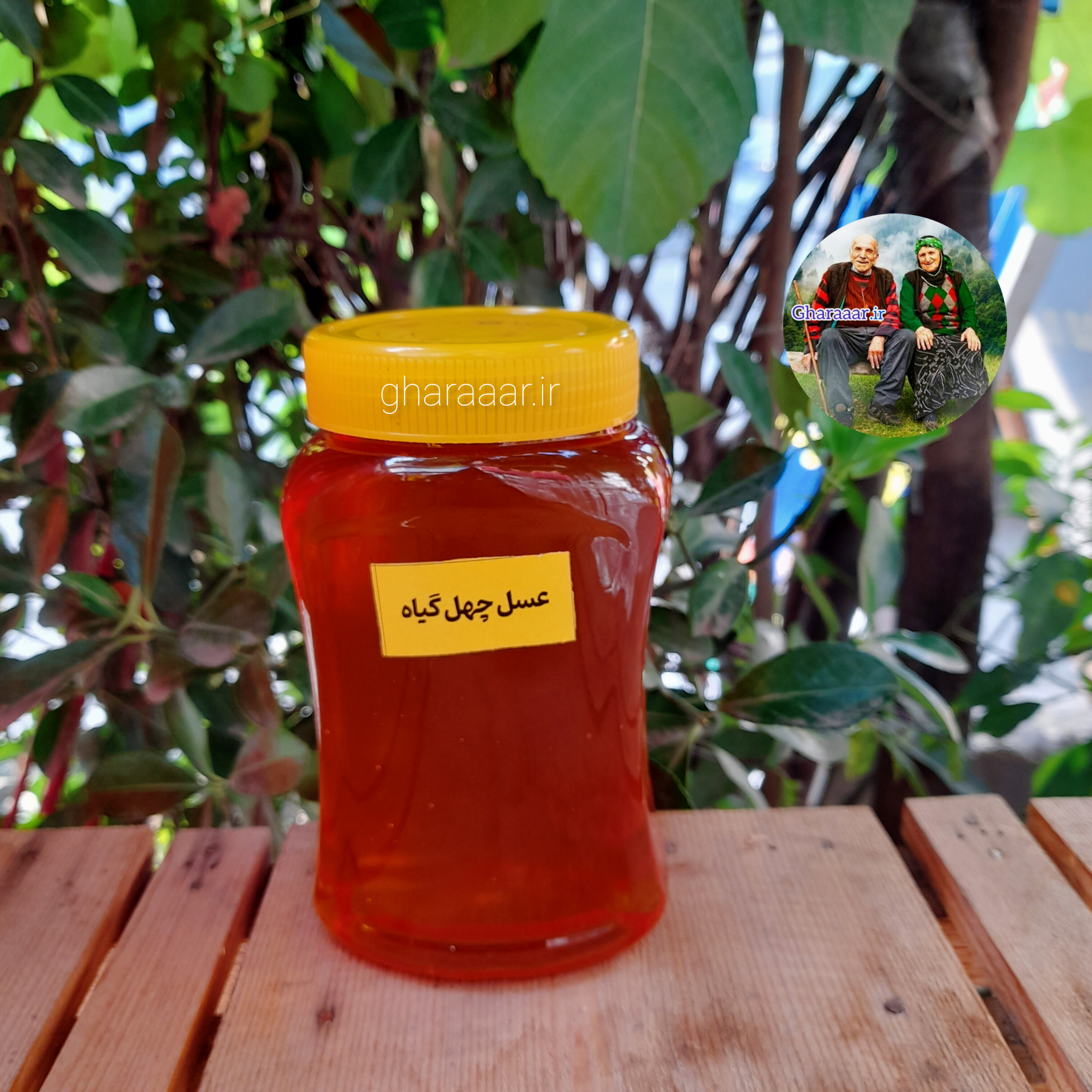 عسل چهل گیاه یک کیلویی پت