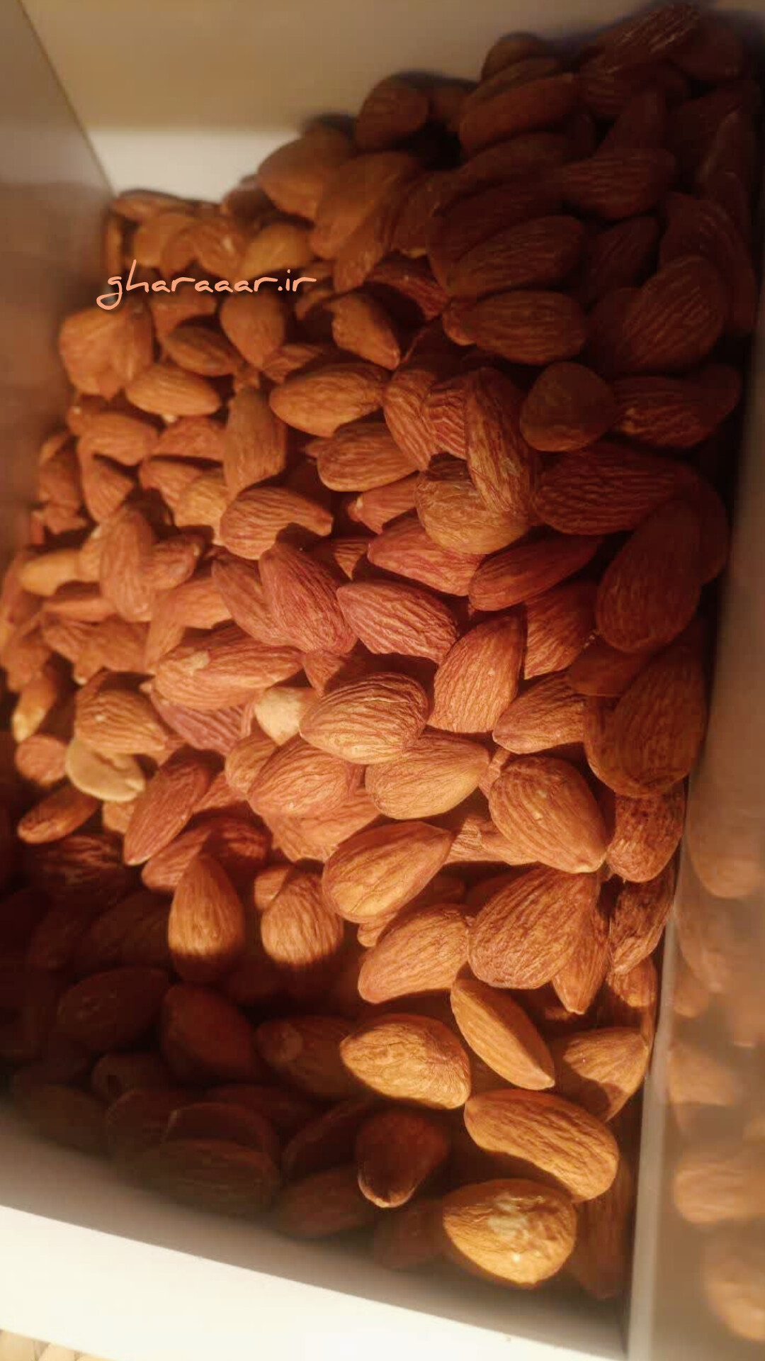 بادام درختی کم شور