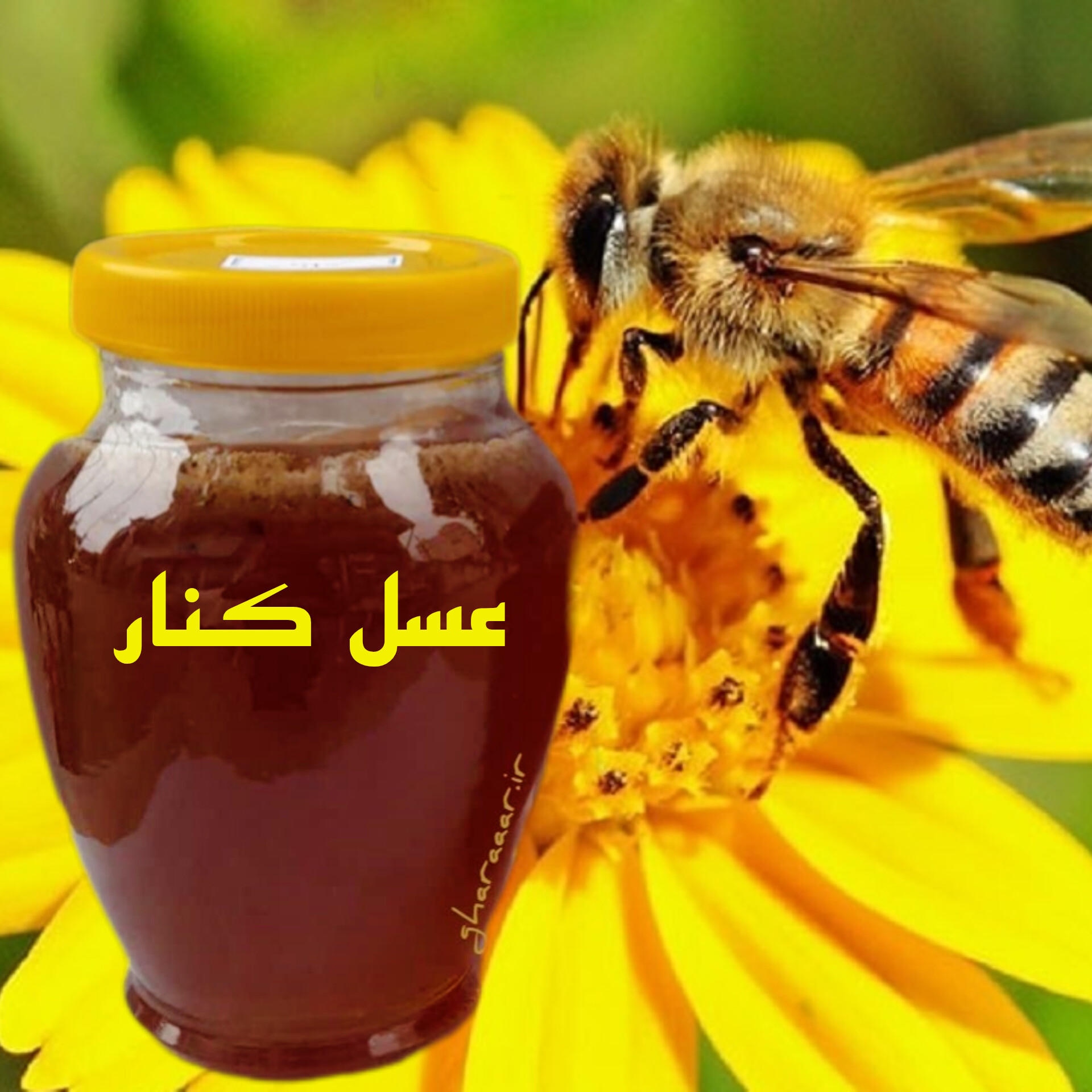 عسل کنار شیشه‌ای بزرگ