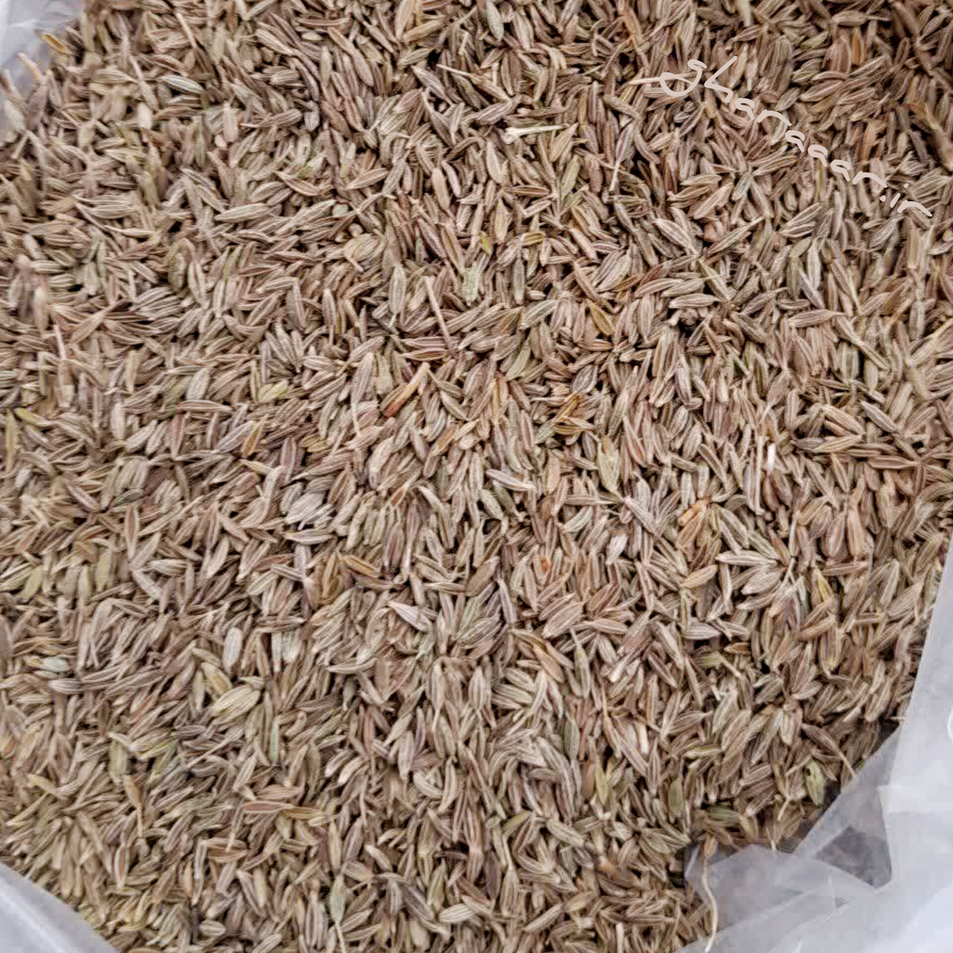 زیره سبز کیلویی