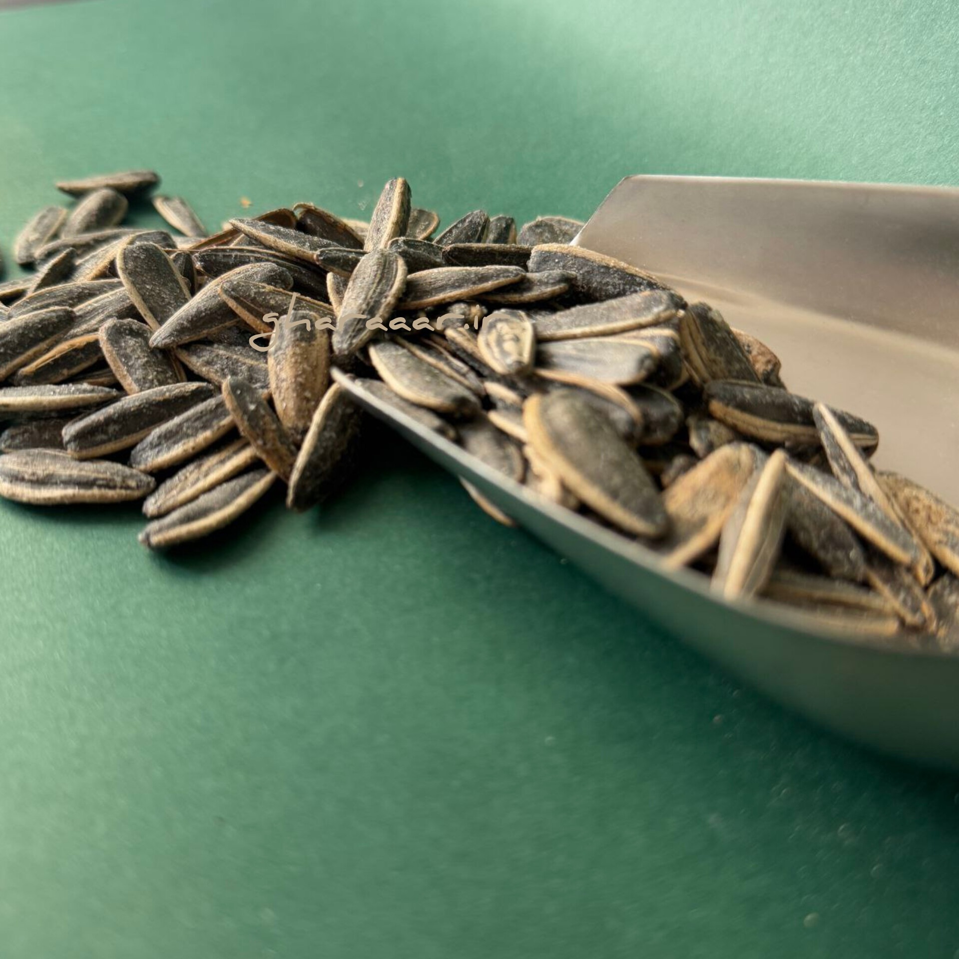 تخمه آفتابگردان دورسفید سوپر ویژه