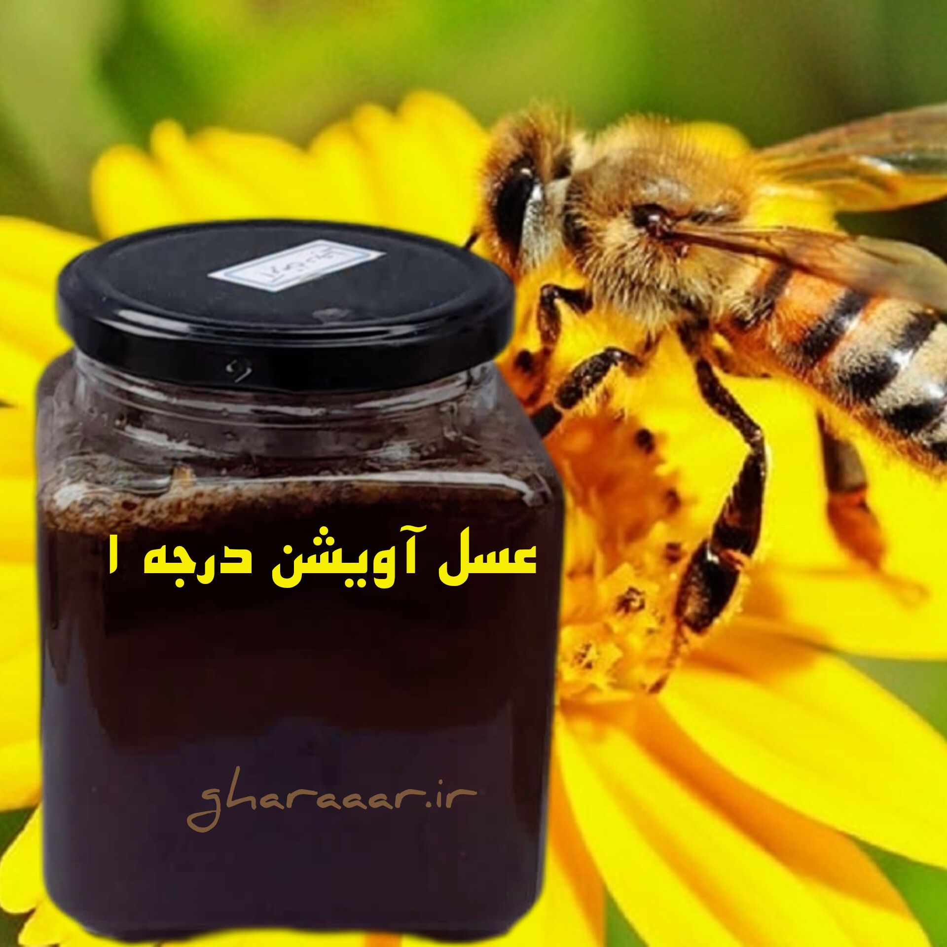 عسل آویشن یک کیلویی شیشه‌ای درجه ۱